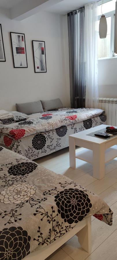 Studio Apartman Kocka Belgrado Esterno foto
