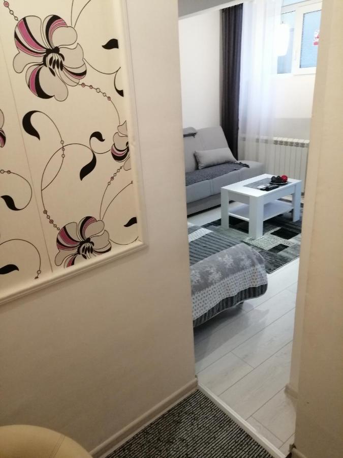 Studio Apartman Kocka Belgrado Esterno foto